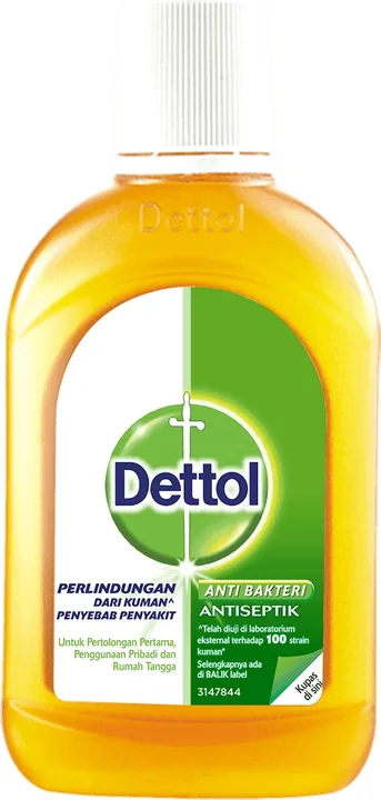 Dettol Antiseptic Liquid, 48 × 95 ml